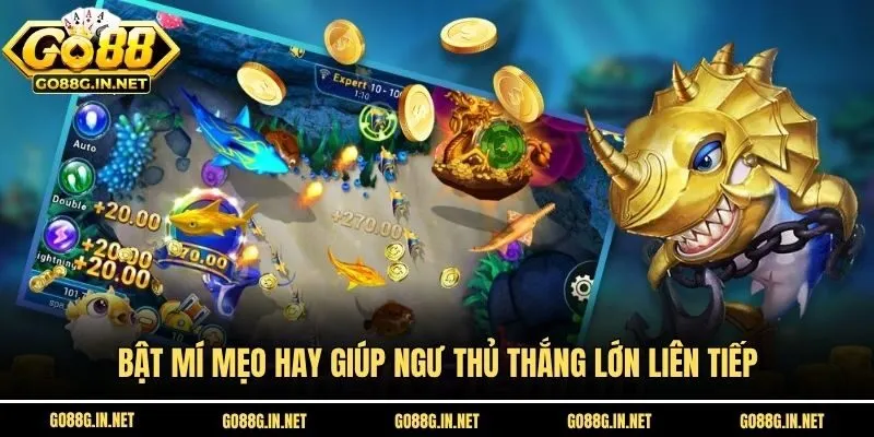 Bật mí mẹo hay giúp ngư thủ thắng lớn liên tiếp