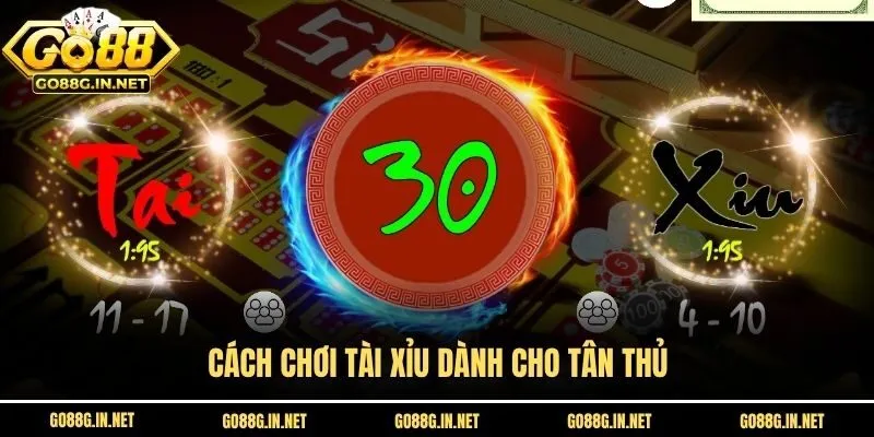 Cách chơi tài xỉu dành cho tân thủ