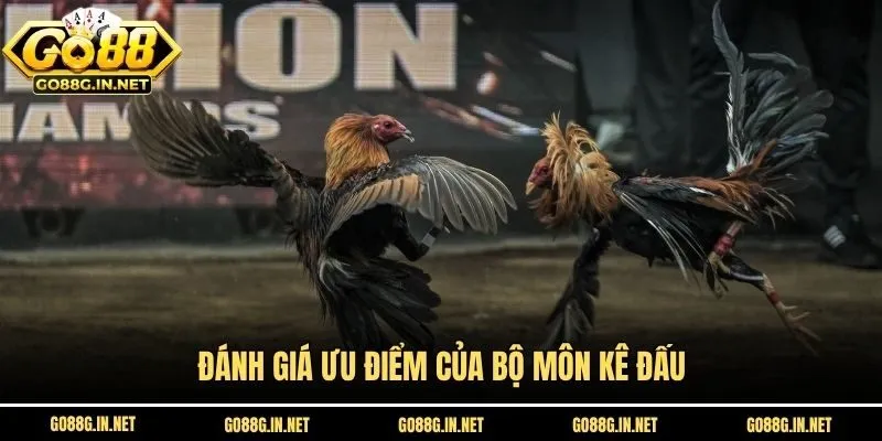 Đánh giá ưu điểm của bộ môn kê đấu