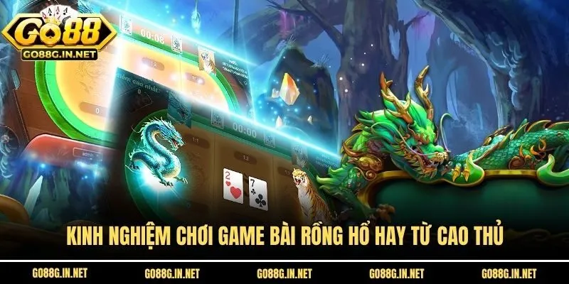 Kinh nghiệm chơi game bài rồng hổ hay từ cao thủ