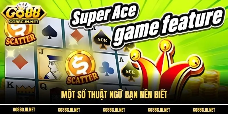 Một số thuật ngữ bạn nên biết