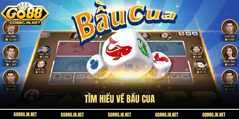 Tìm hiểu về bầu cua